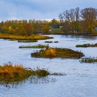 Обмелевшая река :: Любовь Потеряхина