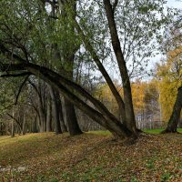 Осень в старом парке :: Валерий Пегушев