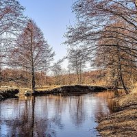 Солнечный день :: Владимир Ф