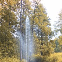 Природные фонтаны осенью :: Nikolay Monahov