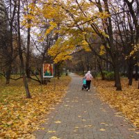 Экватор осени и моя 200-я вело-фото сессия в сезоне :: Андрей Лукьянов