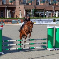 Кубок КСК Golden Horse 2019-10-13 :: Андрей Lyz