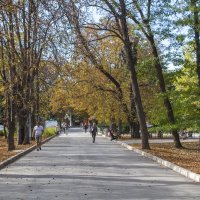 Осень в парке :: Валентин Семчишин