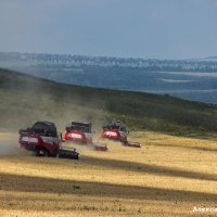 Уборка :: Александр Богатырёв