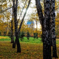 Осень в парке :: Alex Sash