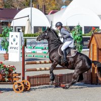 Кубок КСК Golden Horse 2019-10-13 :: Андрей Lyz