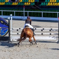 Кубок КСК Golden Horse 2019-10-13 :: Андрей Lyz