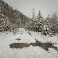 Первый снег :: Ольга Соколова