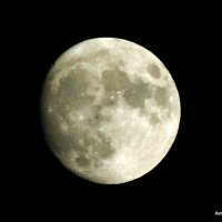 Растущая луна. :: Валерьян Запорожченко