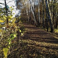 У природы нет плохой погоды. Моменты осени в Малаховке. :: Олег Пучков