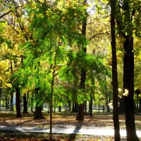 Осень в парке... :: Тамара (st.tamara)