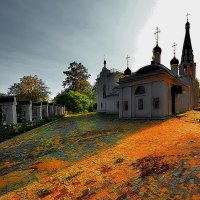 Жёлтая  осень . :: ГераскинВадимГеоргиевич 