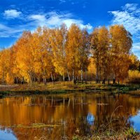 Осенний пейзаж :: Oleg S 