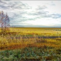 Осенний горизонт :: Василий Бобылёв