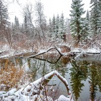 Первый снег :: Виктор Садырин