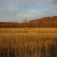 Еще одного Бабьего лета, может, и не будет :: Андрей Лукьянов