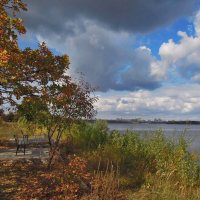 В ожидании влюблённых в природу... :: Тамара Бедай 