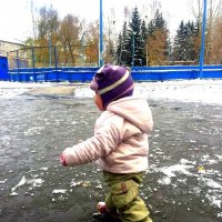 По первому снегу. :: Мила Бовкун