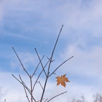 Стойкий :: Валерий Иванович