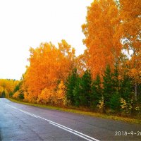 Осень в разгаре :: Василий 