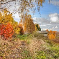 Палитра осени :: Константин 