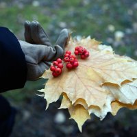 А с чем у вас ассоциируется осень?) У меня это клён.. :: Ярослав Ярославцев