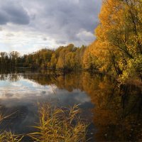 Перед снегом :: Наталия Григорьева