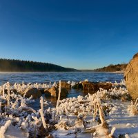 Утро :: Олег Каразанов