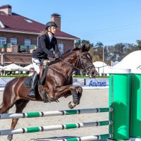 Кубок КСК Golden Horse 2019-10-13 :: Андрей Lyz