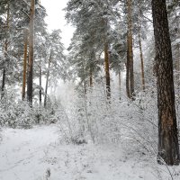 Первый снег... :: Дмитрий Петренко