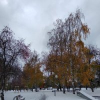 Первый снег ... :: Татьяна Котельникова