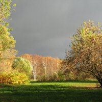 Осенний парк :: Хвостища 