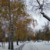 Первый снег ... :: Татьяна Котельникова