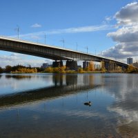 Мост в осень :: Светлана Грызлова