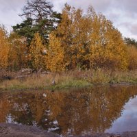 В зеркальной глади отраженье. :: Галина .