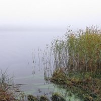 Берег Волги, осенний туман над рекой :: Николай Белавин