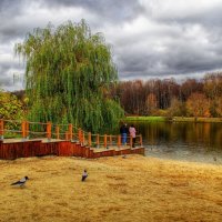 Осень на Терлецких прудах :: Наталья Лакомова