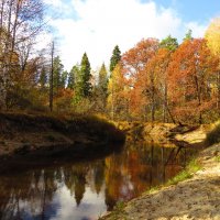 Осень на лесной реке :: Андрей Снегерёв