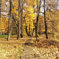 Загрустила осень в парке... :: Вячеслав Маслов