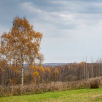 Осень :: Евгений Фомин