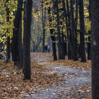 На аллеях Нескучного сада :: Яков Реймер