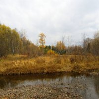 Золотая осень на реке Сосьва :: Ирина Осипова