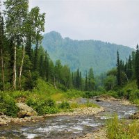 Горная речка :: Сергей Чиняев 