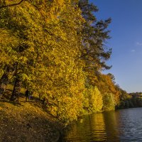 осень :: Петр Беляков