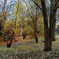 Осень в городе :: Владимир Кроливец