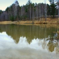 Осенний лес в тоскливой дрёме... :: Нэля Лысенко