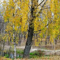 Октябрь в городе :: Милешкин Владимир Алексеевич 