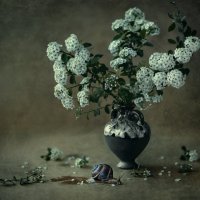 Улитка и цветы :: Нина Богданова
