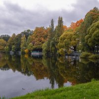 Санкт-Петербург. Таврический сад. :: Лариса (Phinikia) Двойникова