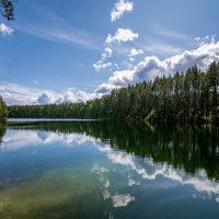 озеро Зеленец, Псковская область :: Виктор Желенговский